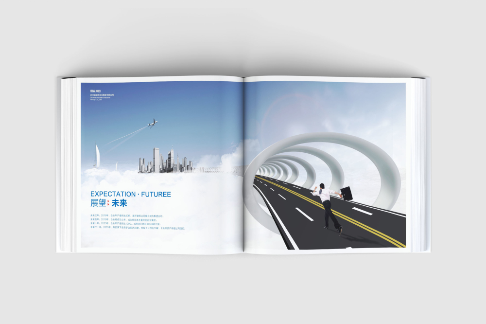 牟定县画册设计